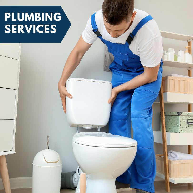 Plumbing Company in Chandler, AZ
